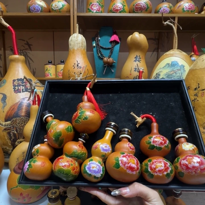 A***龙11111111111111111111