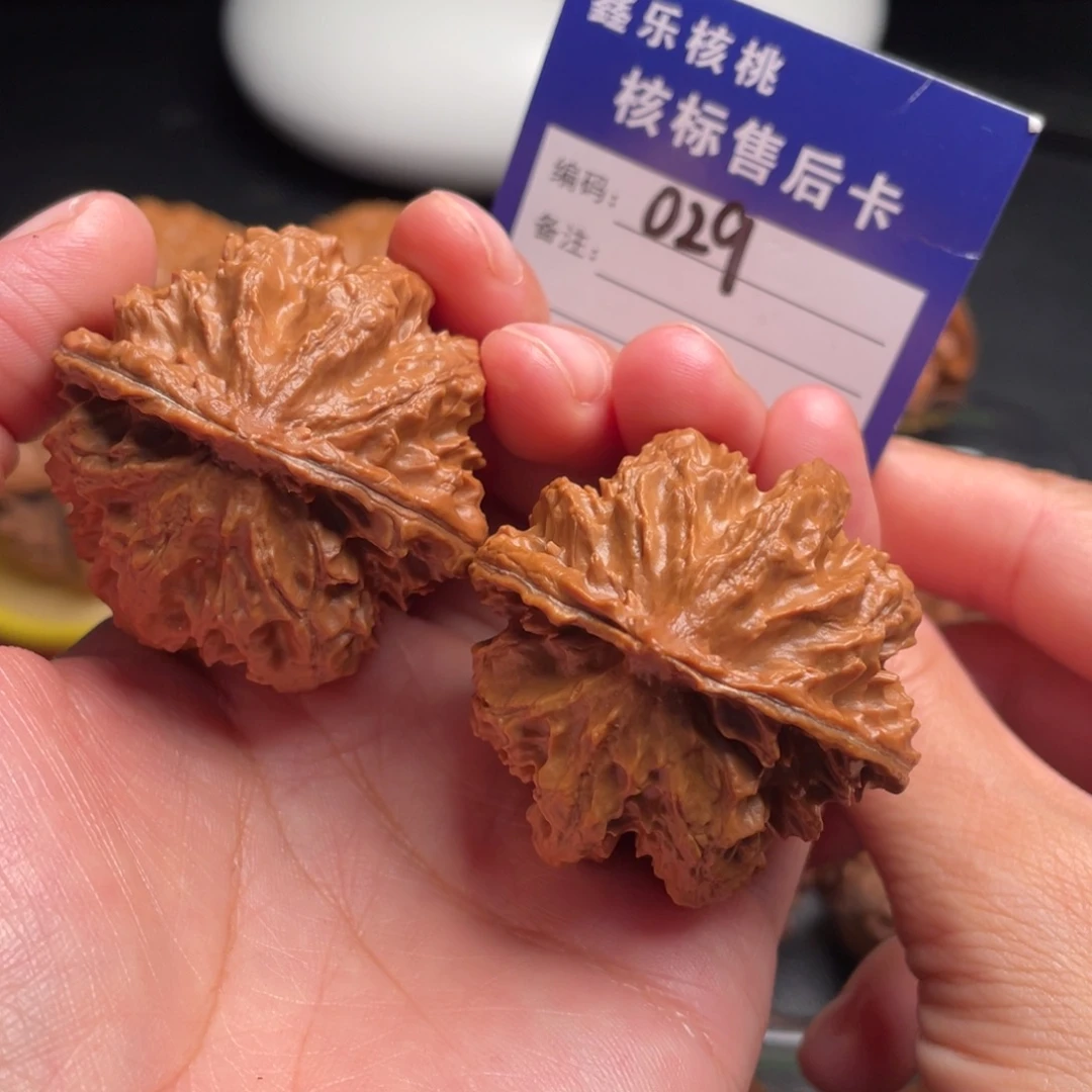 把件文玩核桃野生霸王龙43全品029