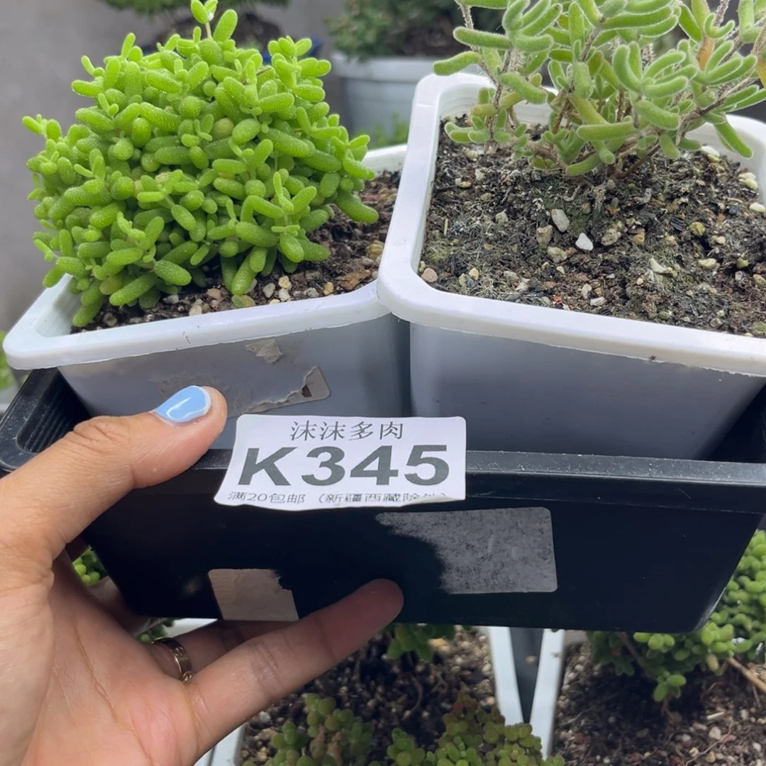 345开播福利组合套餐