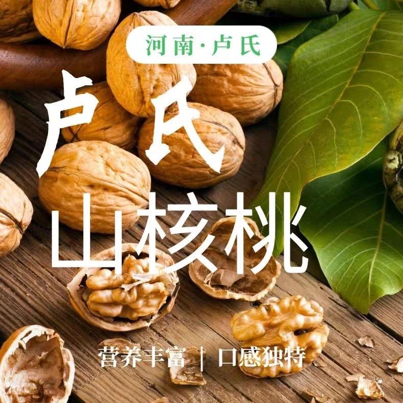 正宗豫西特产高山秦岭朱阳核桃农家老树带壳野生笨核桃