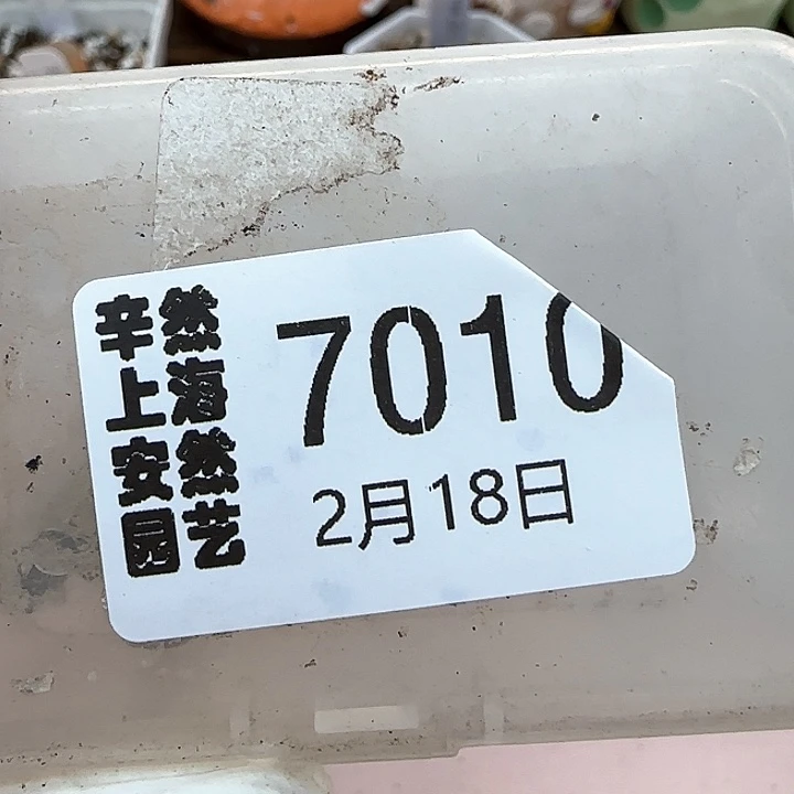 喵****)2。18。7010。c 324。 饼干。