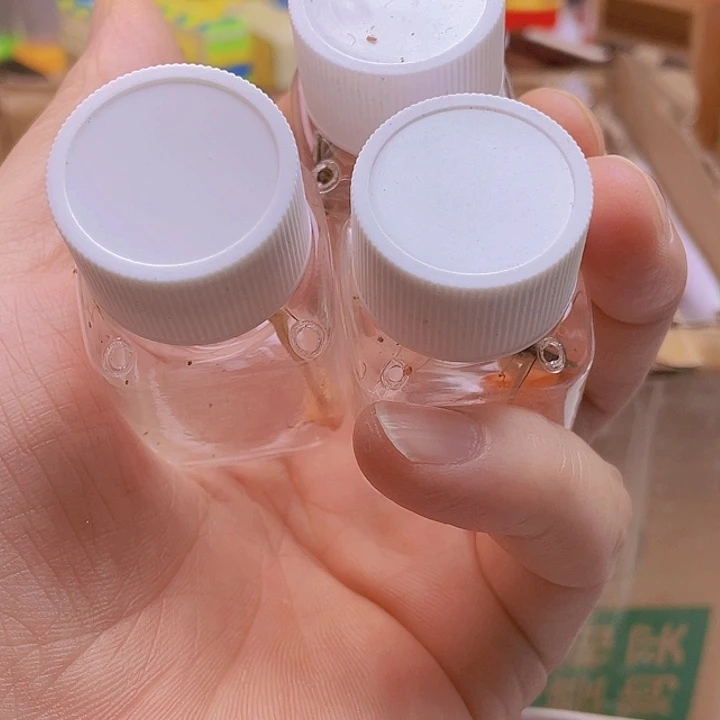 宏***缘竹玲3啊啊啊啊啊啊啊