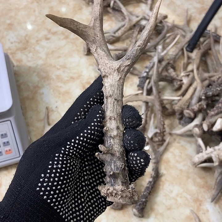 嗯****大叶紫檀（黑酸枝木类）