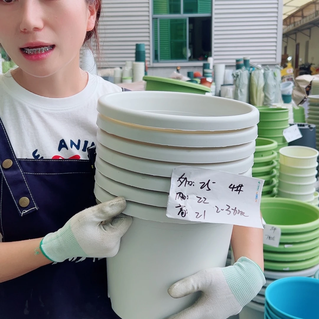 四季盆4#白色8个无托