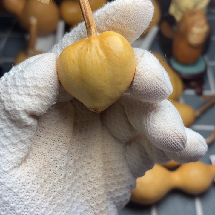 j***a6666666666666666666