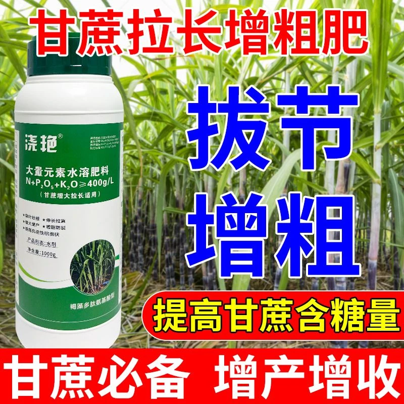 甘蔗拉长增甜剂专用甘蔗增粗膨大绿叶壮根防裂叶面肥抗倒伏增产