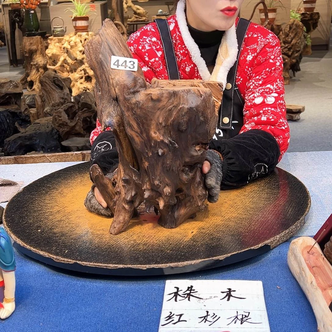 情***已木443 vxvvvbbbnnkk