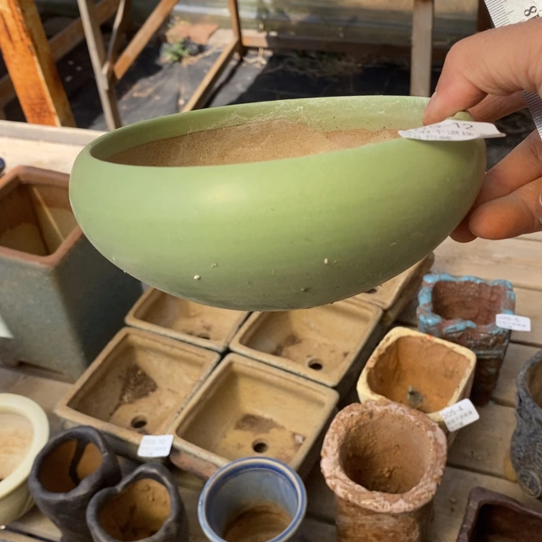 红陶黄*12号肉盆一个呀