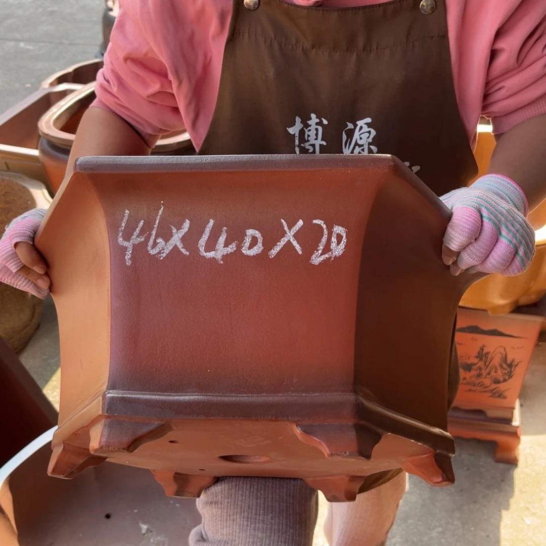 花盆紫砂盆景艺术