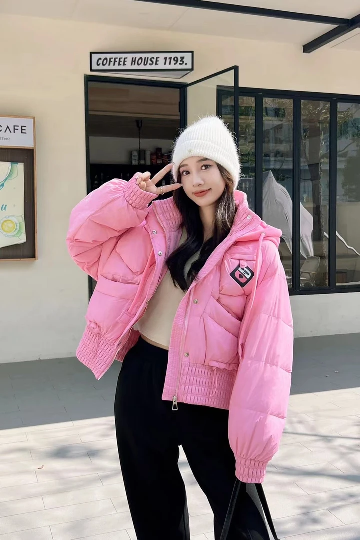 韩版短款90白鸭绒连帽保暖时尚百搭休闲女士羽绒服3019