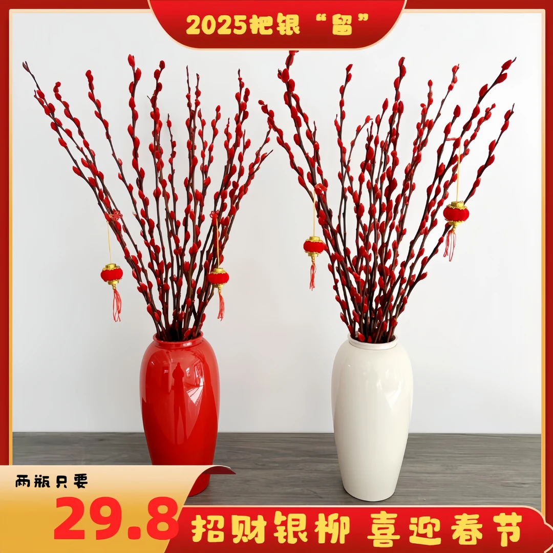 银柳干花鲜枝真花批发红色年宵花卉室内装饰客厅摆设摆件水培植物