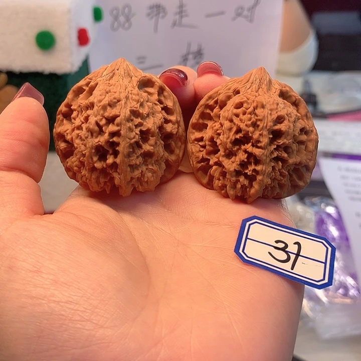 木质类满天星44尺寸