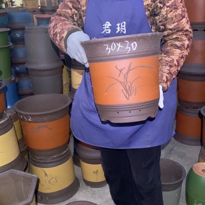 紫砂花盆盆栽花卉苗木种植