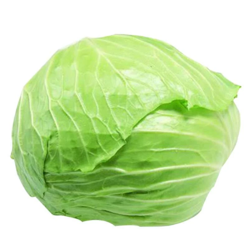 【新鲜】包菜约900g/份 高纤低卡先锋（约半个）