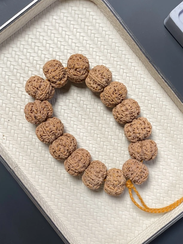 原桩扇面【墨雪六瓣】头货严选姜黄皮粗筋玉化水晶皮质金刚菩提