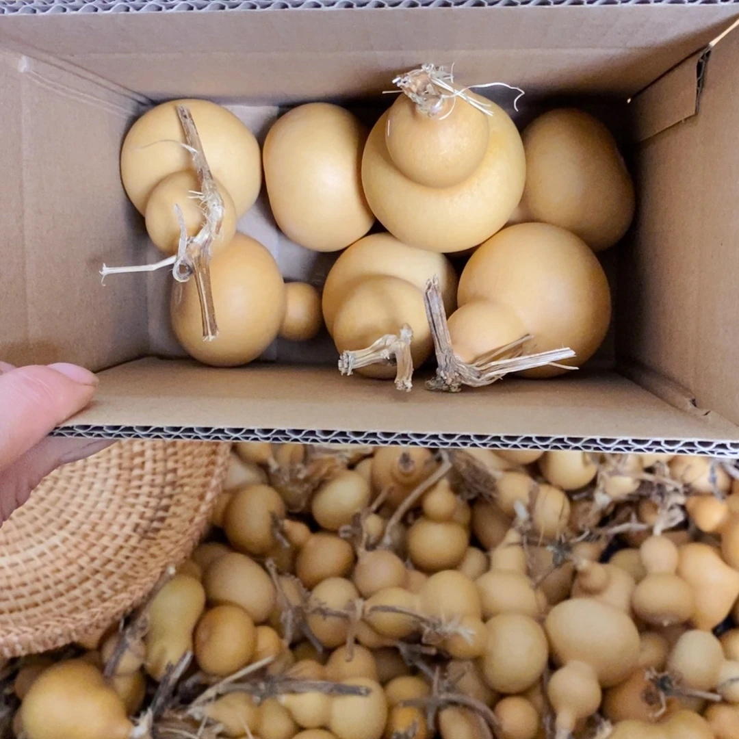 锦绣园缘的专属闪拍