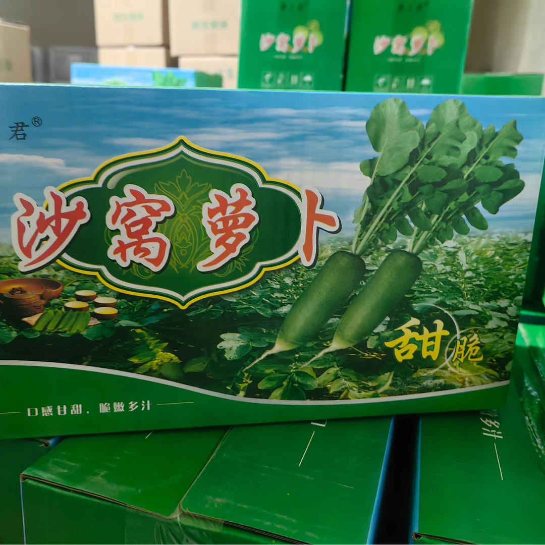 （年后发货）天津沙窝水果水果萝卜净含量5斤