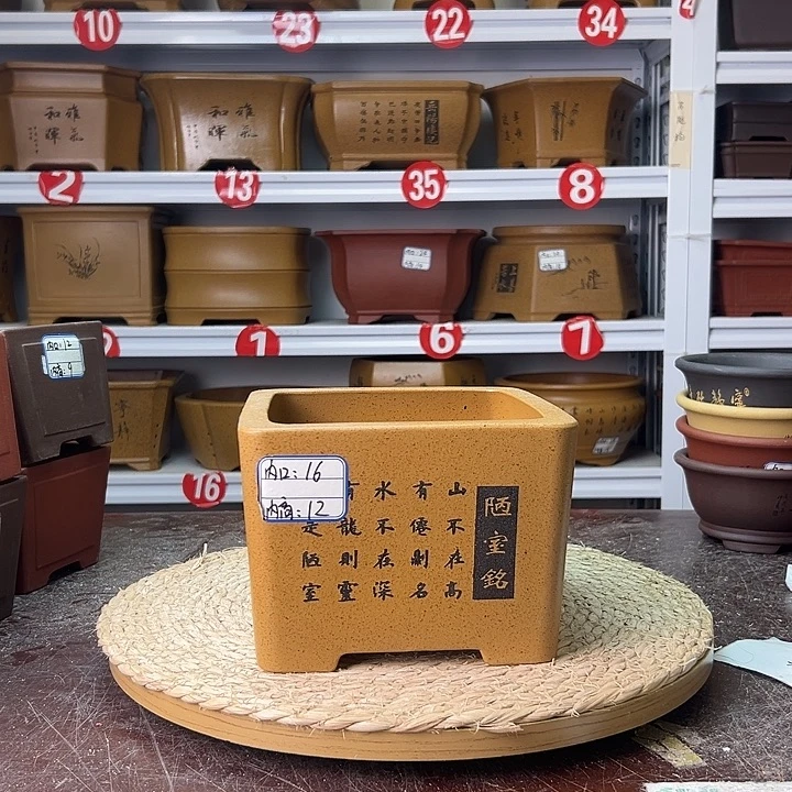 花盆紫砂蛇年大吉