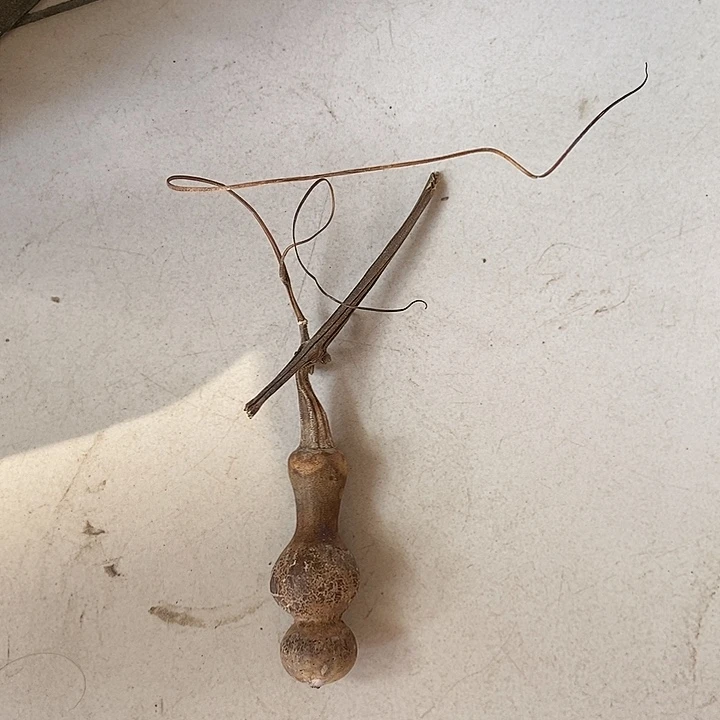 小***）fup g d zh l j c ch k