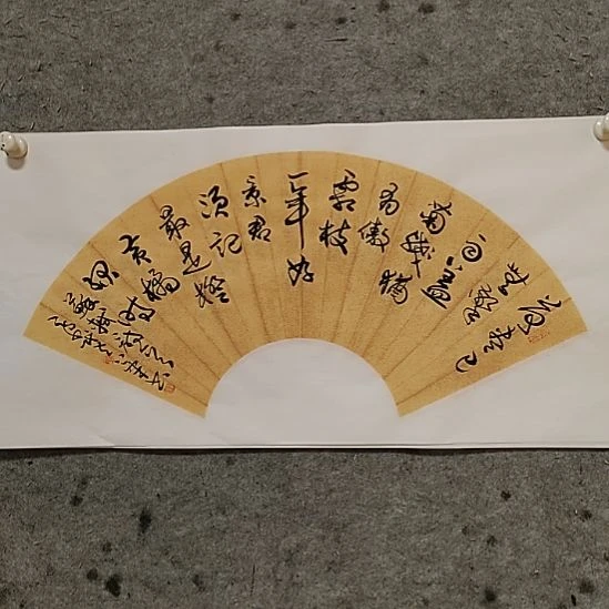 书法宋秉民。苏轼。一年好景