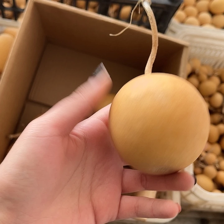 苹果葫芦响籽厚皮