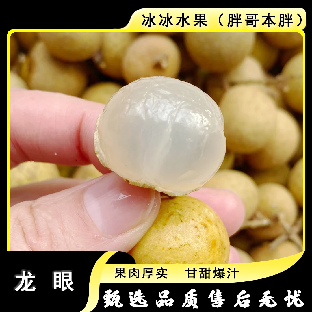 【原装】[Y]龙眼 盒/2斤左右 仅太原晋中吕梁忻州可拍