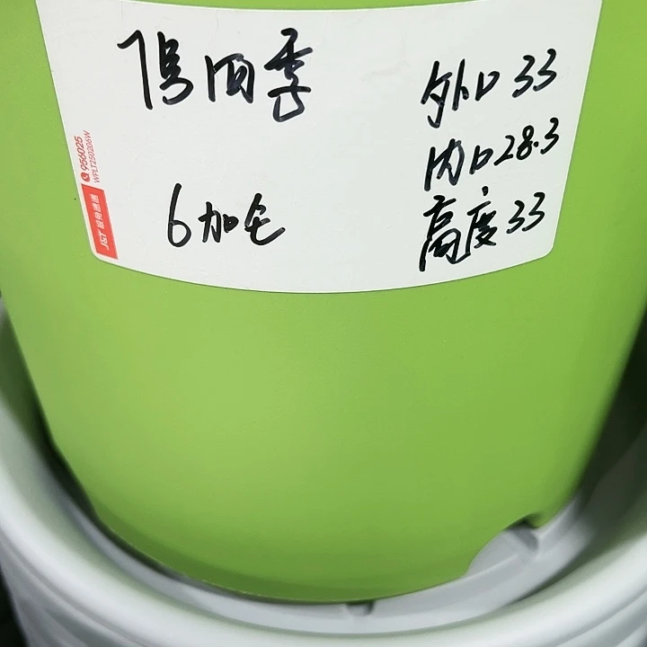 特价7号四季口33高33白色10个无托