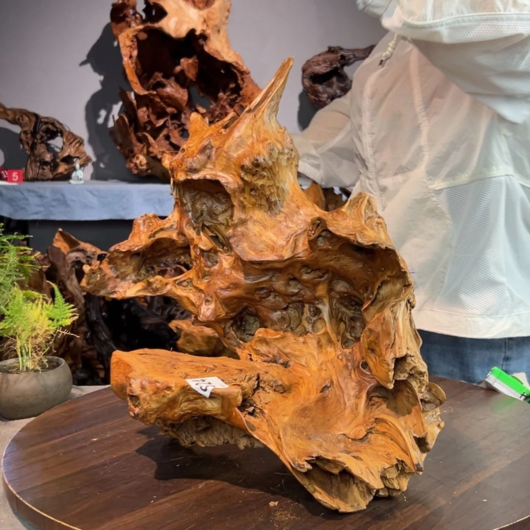 香杉木我***…824Aaaasaaaaa