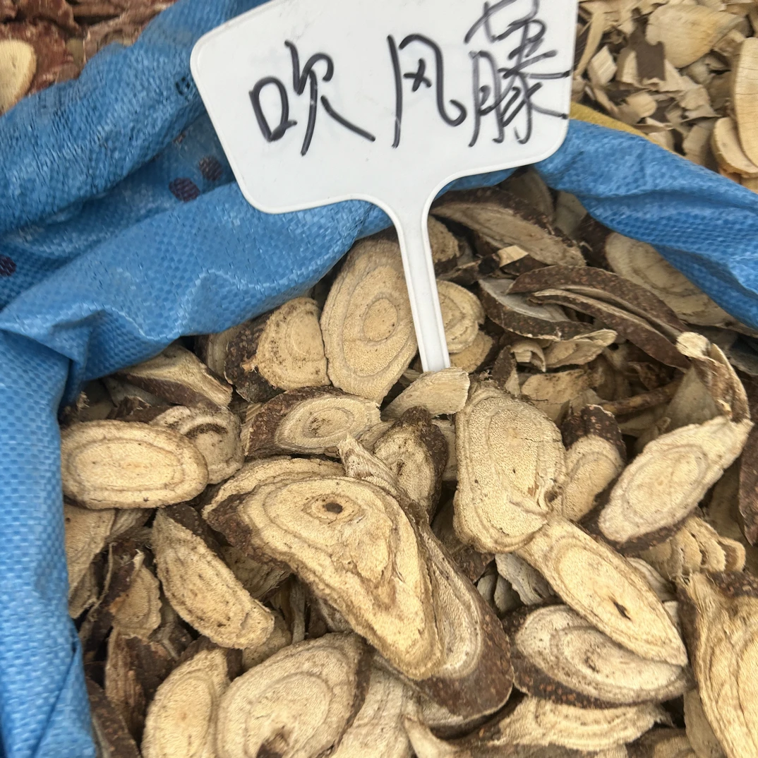 吹风藤 土甘草 广西大山货