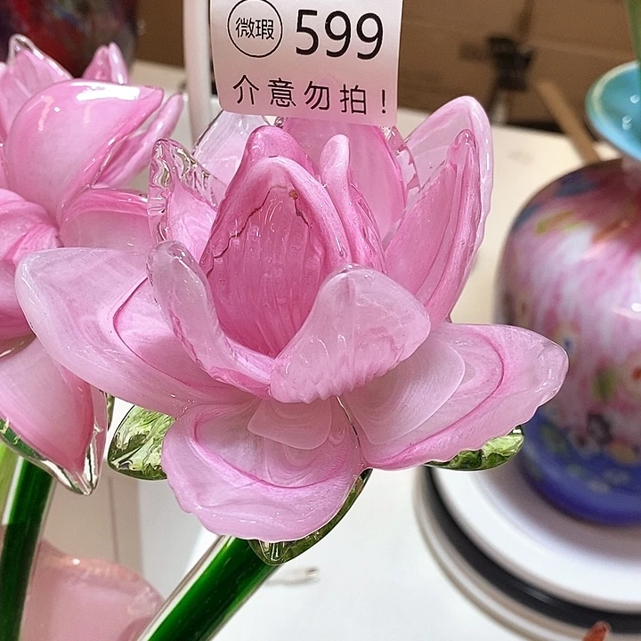 小***雨荷花好看漂亮好看的