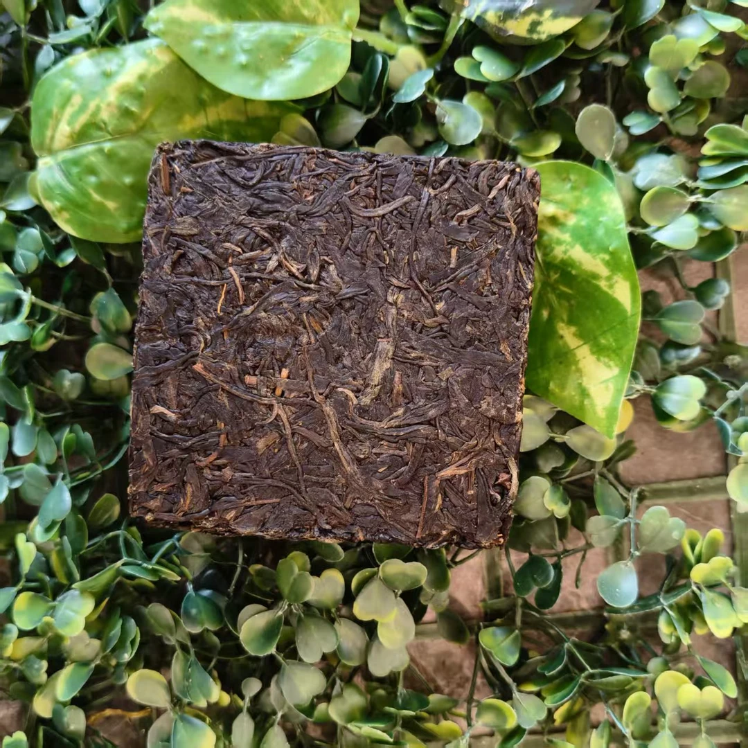 雨腾古茶 “八门J锁”菩提XR亲L“大小T吃”紫芽200g/砖 生茶（6月10）