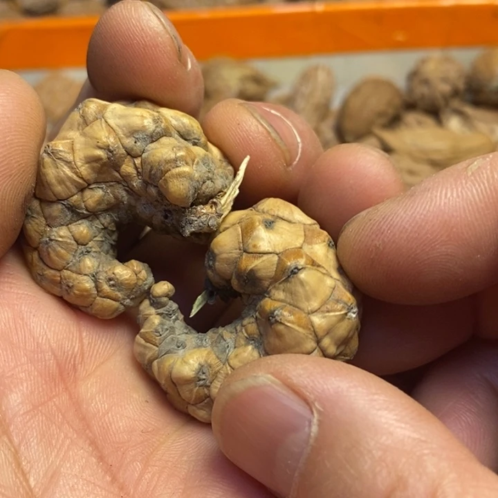 文玩核桃吊坠东北特产155