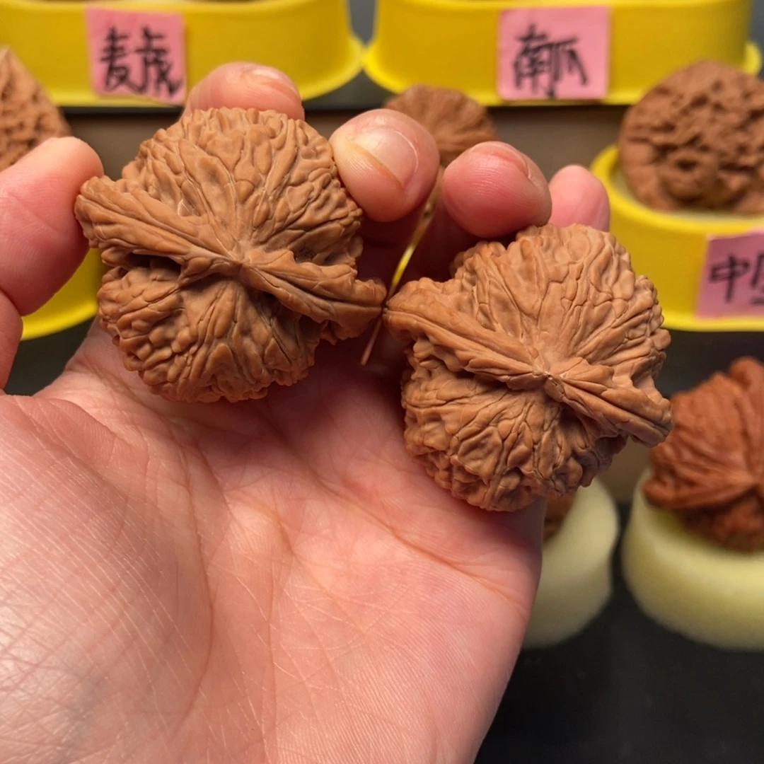 核桃手串/手链43尺白狮子全品