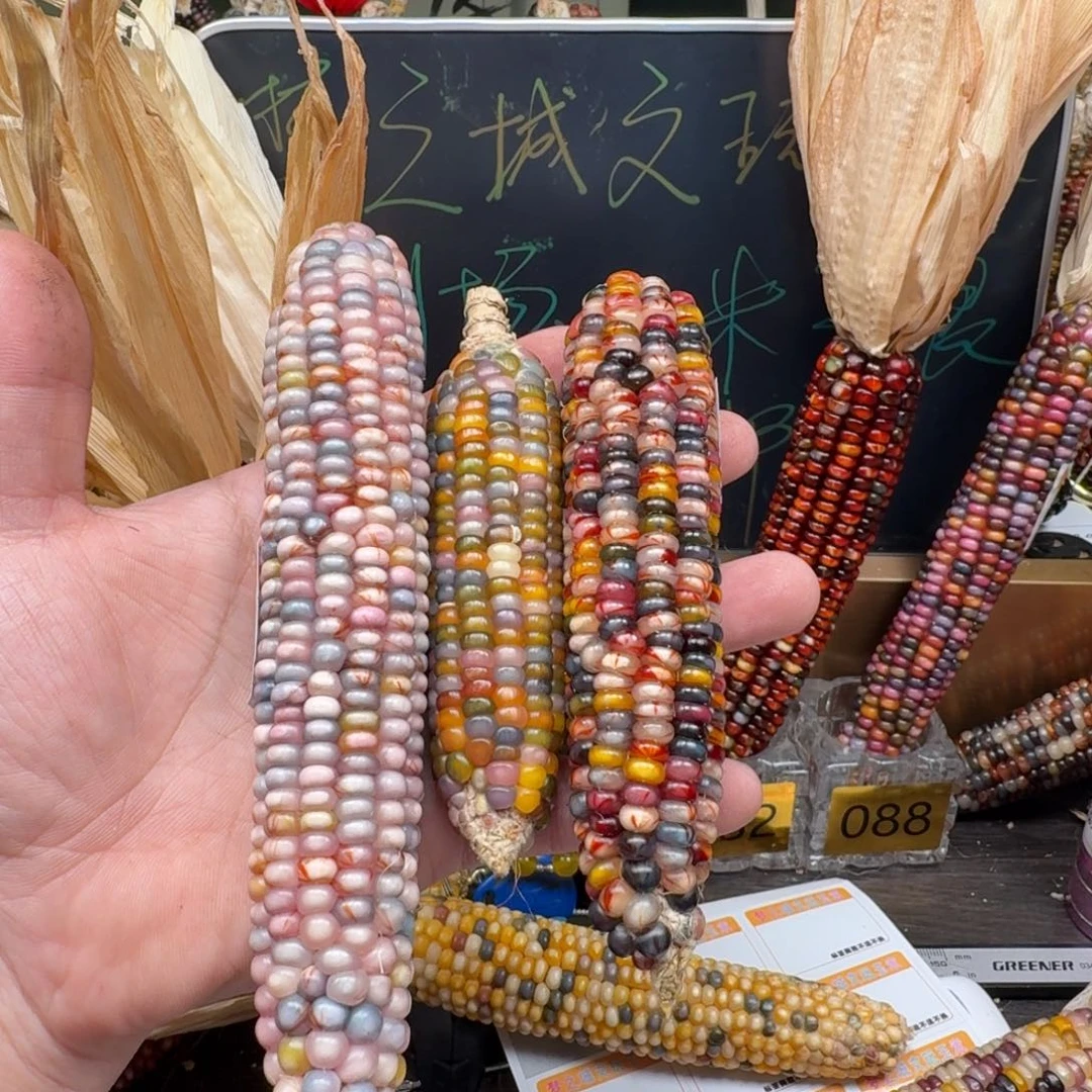 柏香籽/百香籽吊坠?**鹅