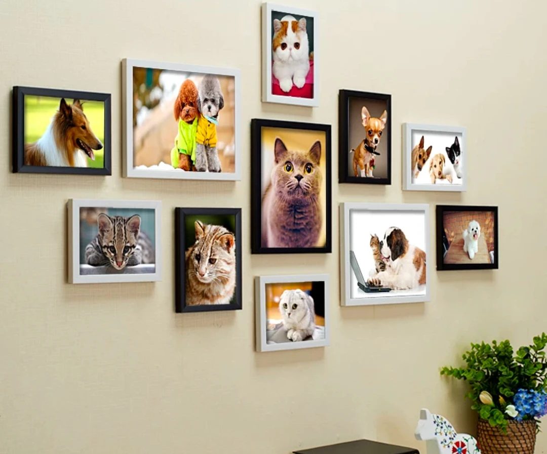 宠物猫【相册】定制 尺寸大小拍前联系客服