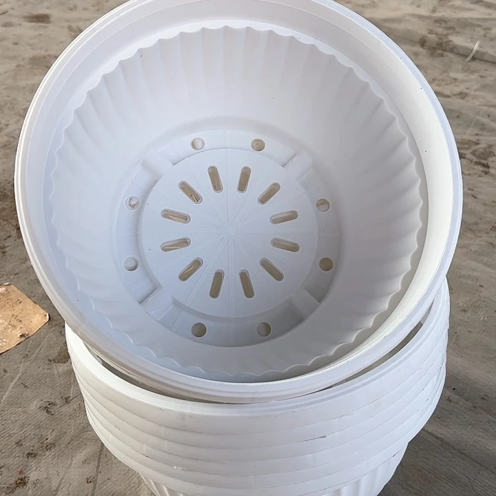 23公分白色聚宝盆13个