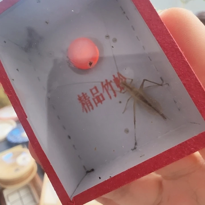 天水随单1只啊啊啊啊