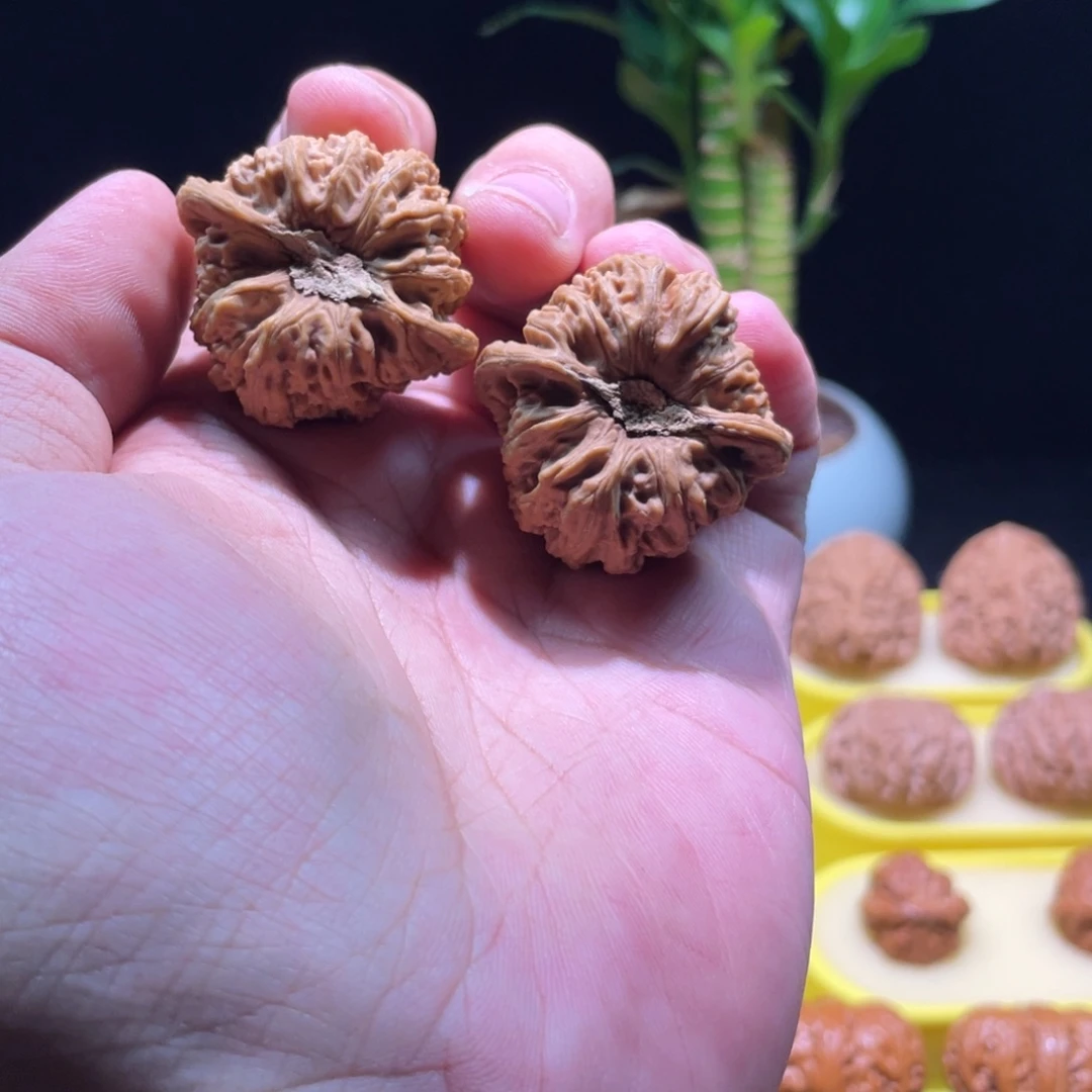 文玩核桃把件37全品木塞底原装无药三角密文