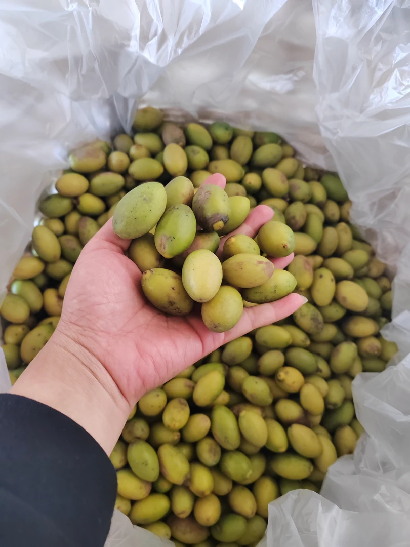 潮汕花皮本地甜种橄榄酥脆清香自然清甜无渣