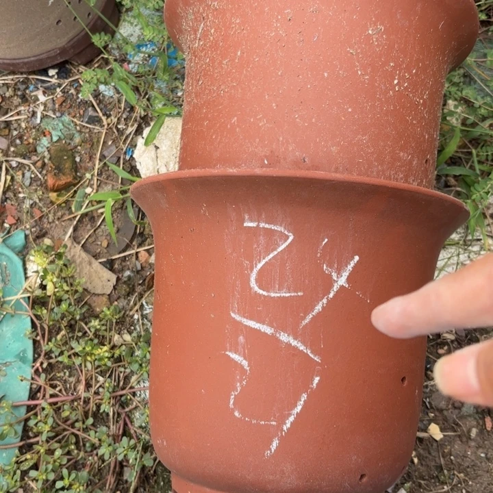 紫砂花盆紫砂的花