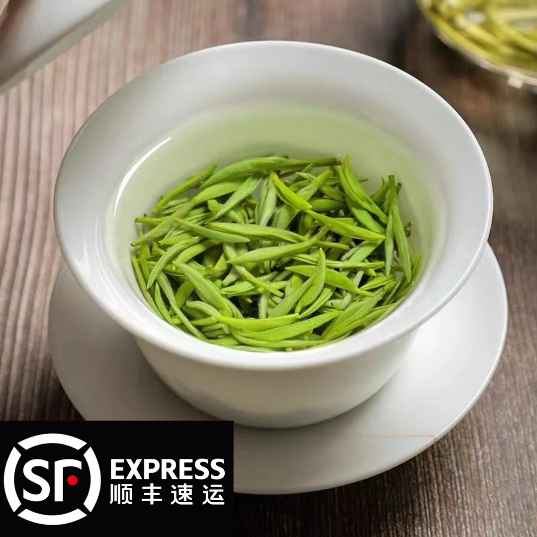 镇店款.特级【五峰芽毛尖】2025年明前头采芽毛尖茉莉花茶茶叶克
