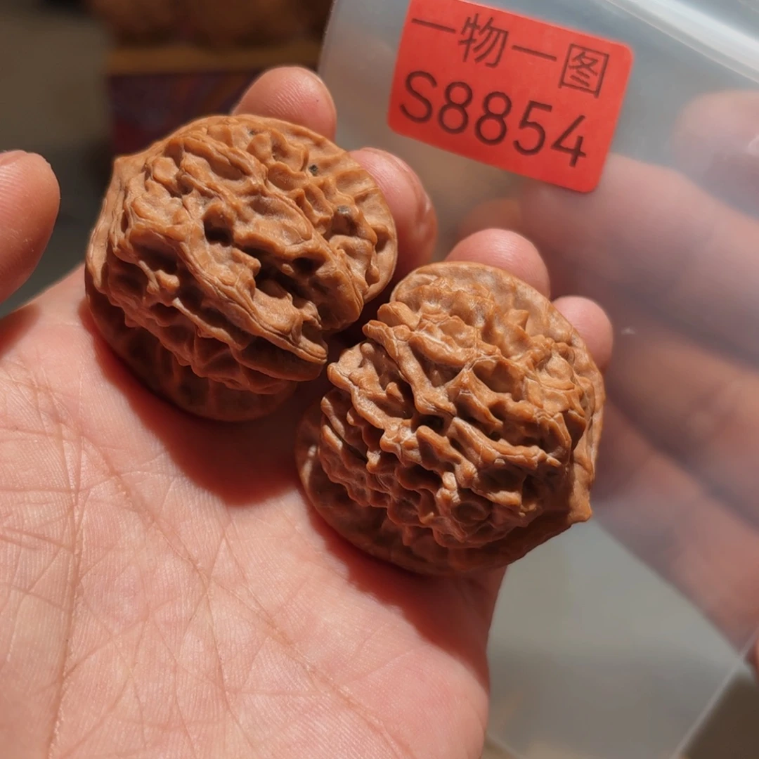 文玩核桃把件红珊瑚