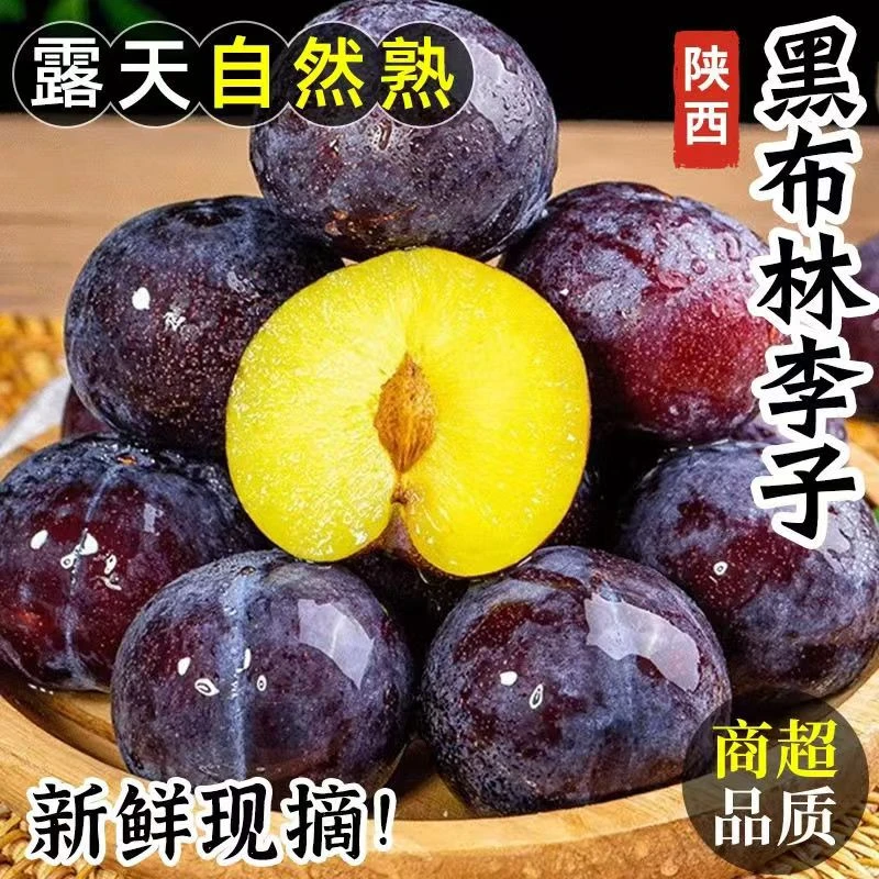 【头茬现摘】陕西现摘黑布林李子新鲜脆甜当季水果软硬两吃黑布朗