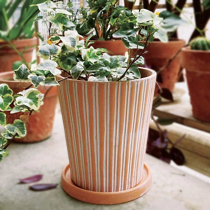 特价竖纹红陶花盆透气吸水保湿常青藤热带植物盆栽陶瓷花盆