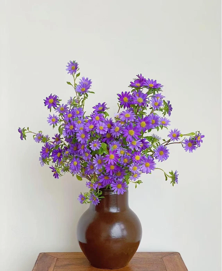 【妮娜小菊花 】绣小菊必备鲜切花花束