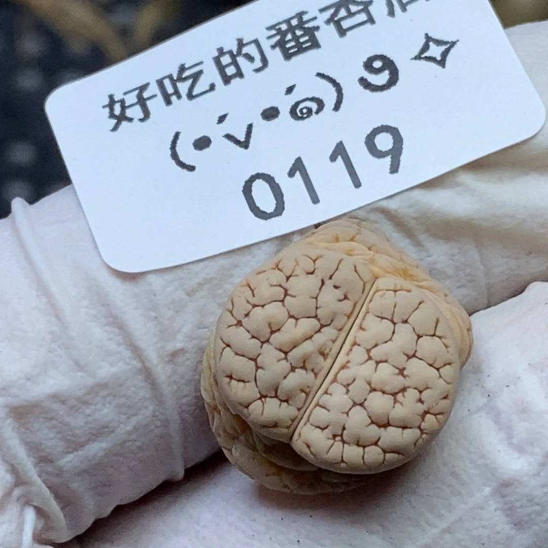 捶**猫0119。零下拍保温.18包邮.当天凑哦