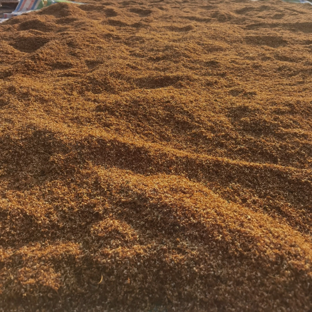 长白山丁香花茶 暴马子花 暴马子花批发