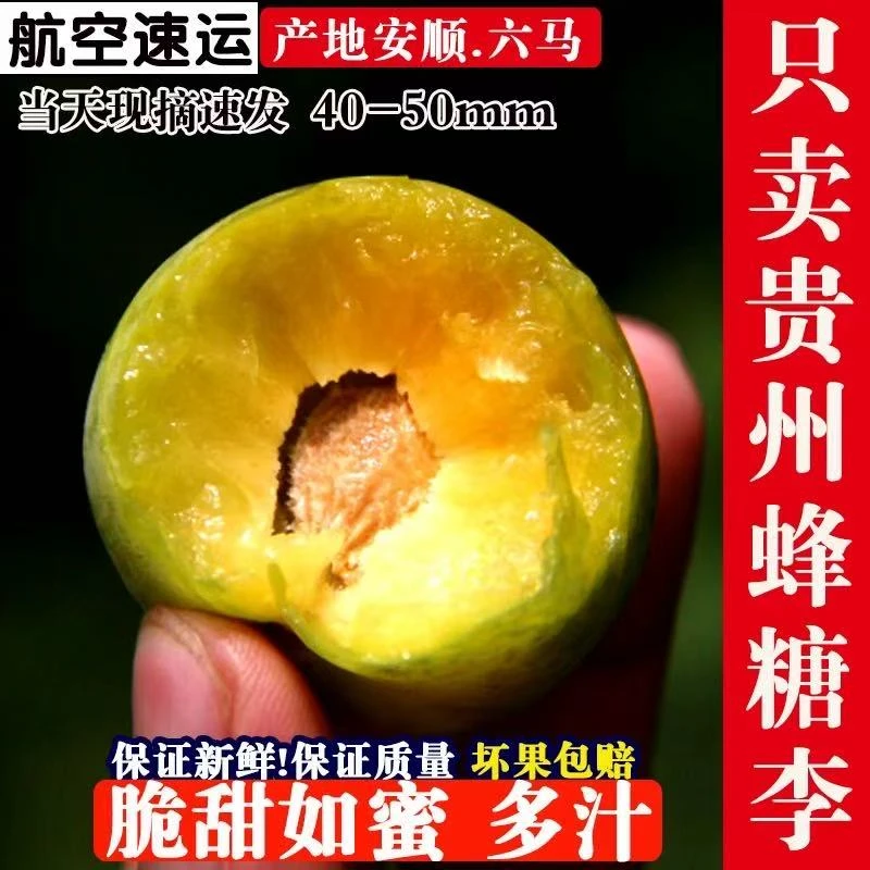 蜂糖李正宗贵州镇宁六马原产地蜂糖李当季李Z
