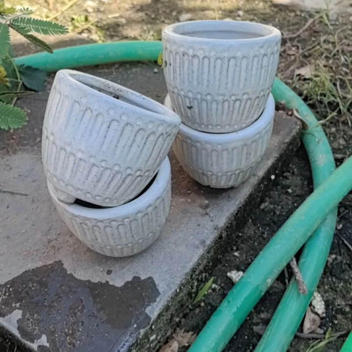 酸***辣瓷器花盆4个包邮的