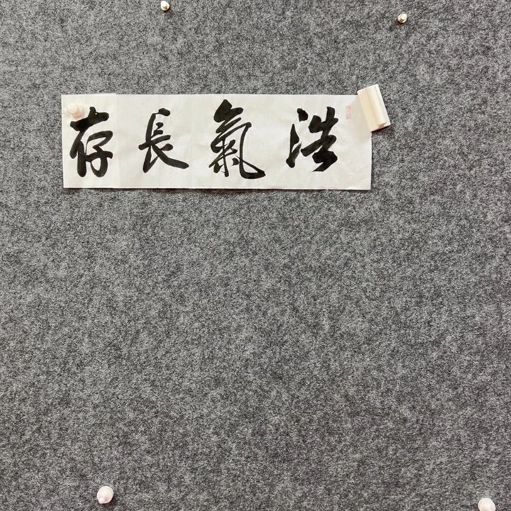 书法艺术作品欣赏